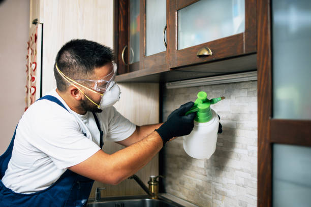 Best Wasp Removal Services  in Rome, NY