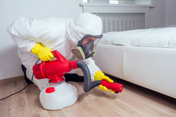 Pest Control Cost in Rome, NY