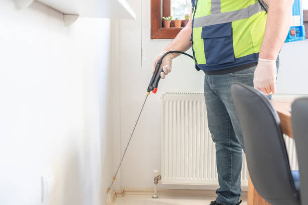 Best Pest Control Near Me  in Rome, NY