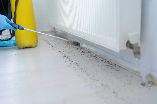 Pest Control Cost in Rome, NY