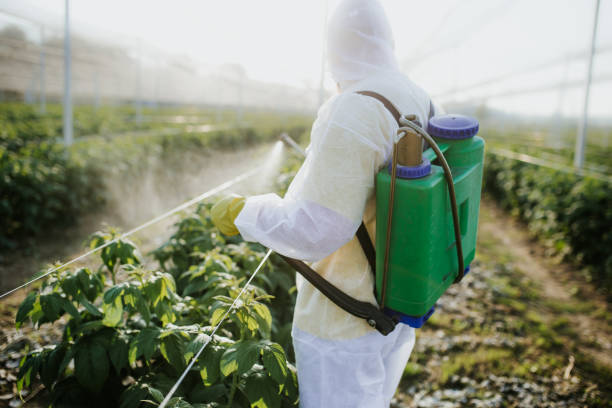 Best Best Pest Control Companies  in Rome, NY